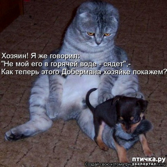  19:    