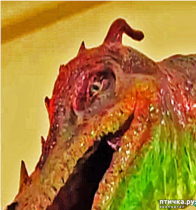  1: ,     .