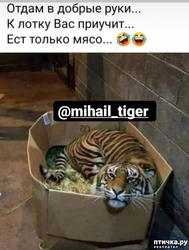  10: , !!!