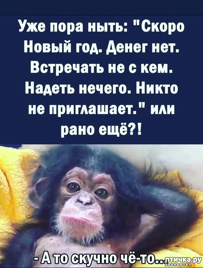  9: , !!!