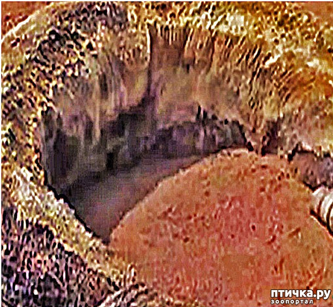  3:  
