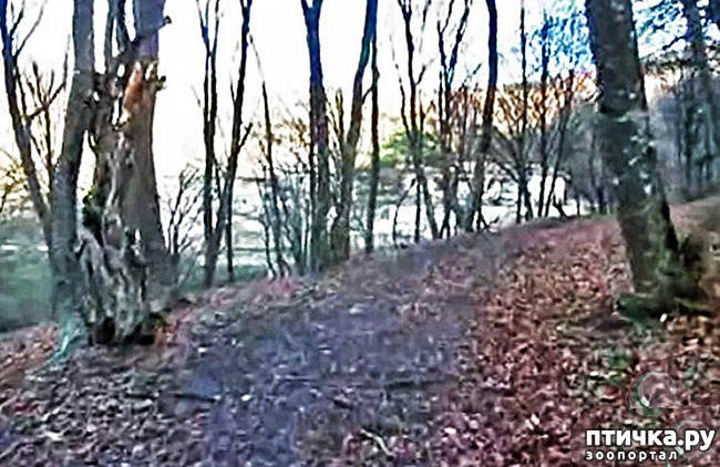  5:  