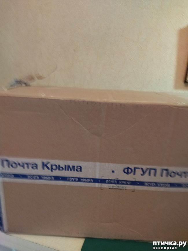  2:  ,   !!!