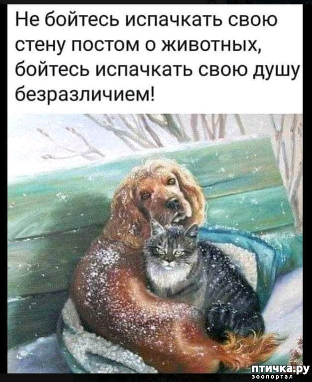 17:  