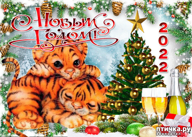  1: HAPPY NEW YEAR!!!