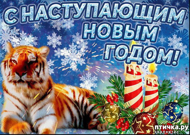  2: HAPPY NEW YEAR!!!