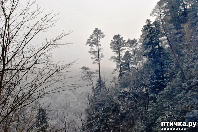 ���� 29: ������ �������� (������������ ����� - ����� ����� �����)