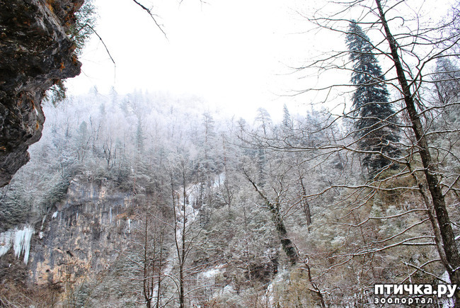 ���� 30: ������ �������� (������������ ����� - ����� ����� �����)