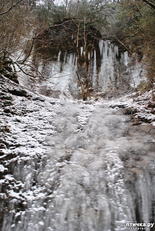 ���� 31: ������ �������� (������������ ����� - ����� ����� �����)