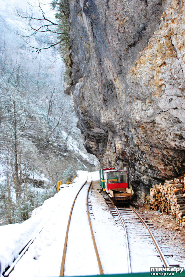 ���� 16: ������ �������� (������������ ����� - ����� ����� �����)