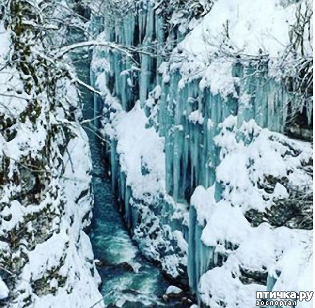 ���� 34: ������ �������� (������������ ����� - ����� ����� �����)