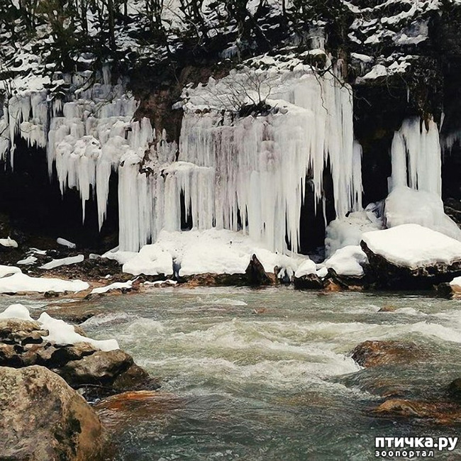 ���� 36: ������ �������� (������������ ����� - ����� ����� �����)