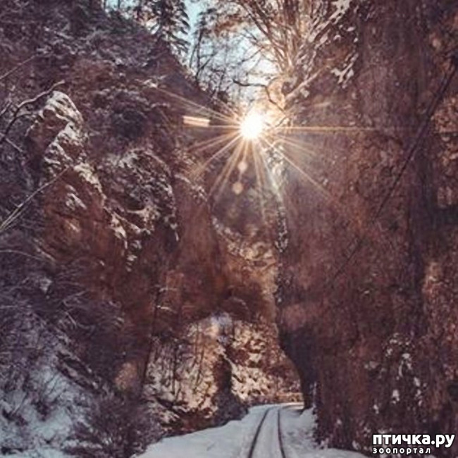 ���� 35: ������ �������� (������������ ����� - ����� ����� �����)