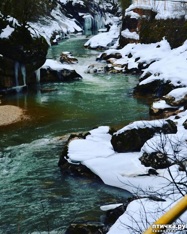 ���� 33: ������ �������� (������������ ����� - ����� ����� �����)