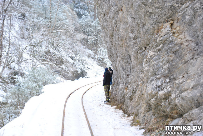 ���� 37: ������ �������� (������������ ����� - ����� ����� �����)