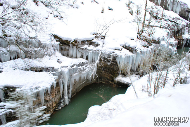 ���� 38: ������ �������� (������������ ����� - ����� ����� �����)