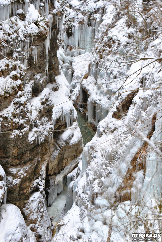 ���� 40: ������ �������� (������������ ����� - ����� ����� �����)