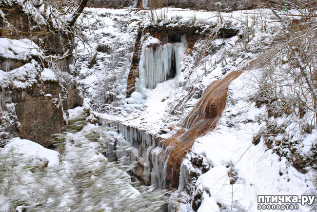 ���� 39: ������ �������� (������������ ����� - ����� ����� �����)