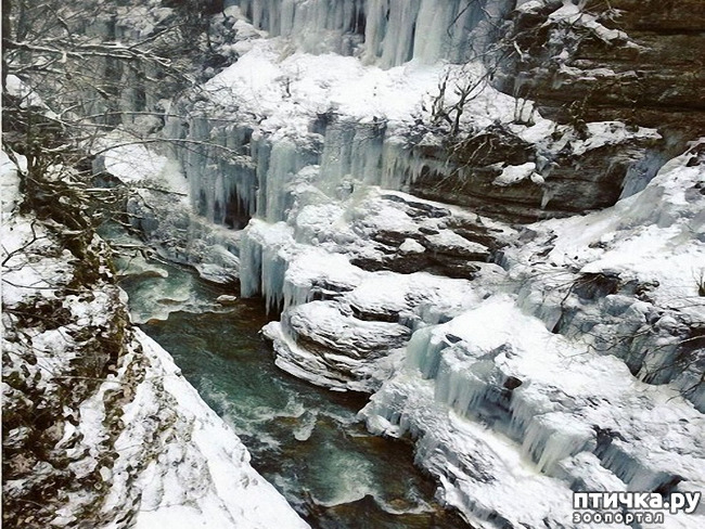 ���� 44: ������ �������� (������������ ����� - ����� ����� �����)