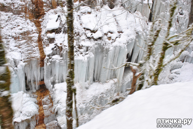 ���� 42: ������ �������� (������������ ����� - ����� ����� �����)