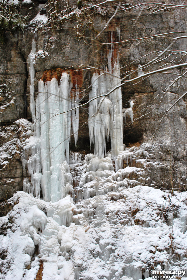 ���� 41: ������ �������� (������������ ����� - ����� ����� �����)