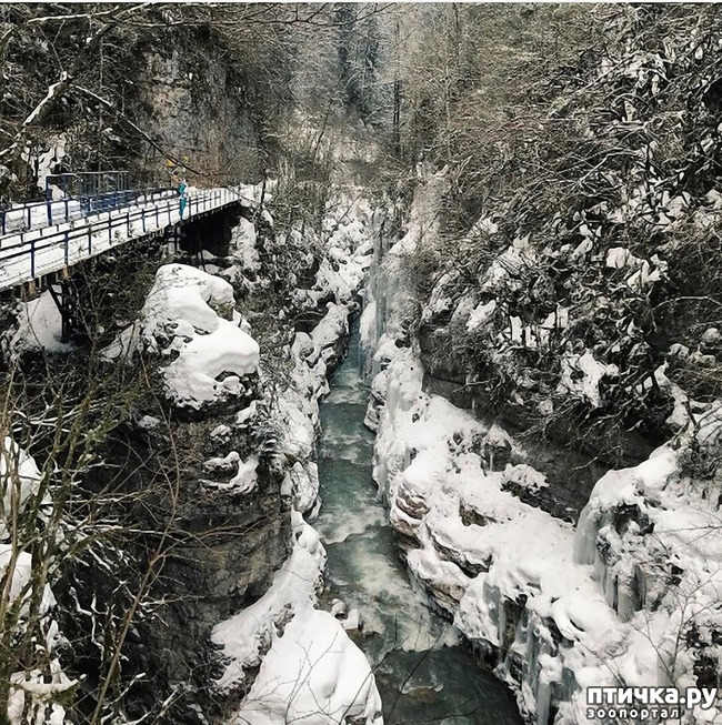 ���� 43: ������ �������� (������������ ����� - ����� ����� �����)