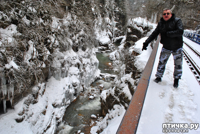 ���� 45: ������ �������� (������������ ����� - ����� ����� �����)