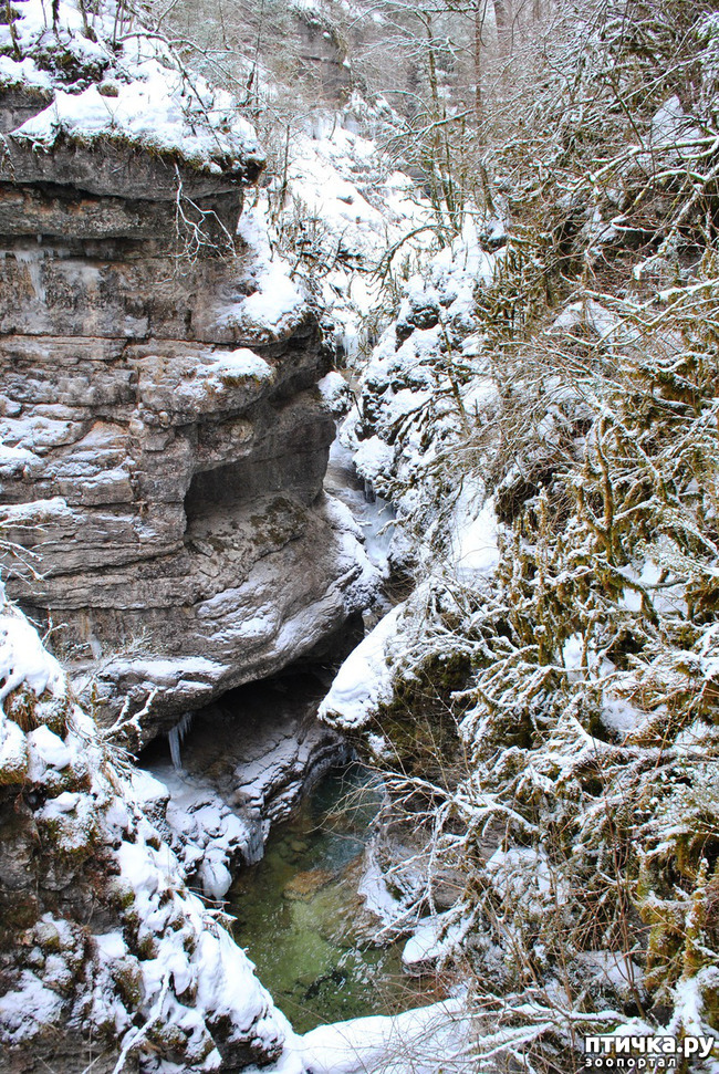 ���� 46: ������ �������� (������������ ����� - ����� ����� �����)