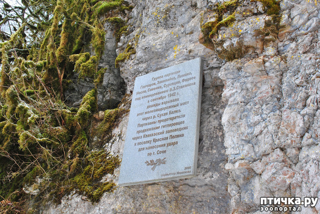 ���� 47: ������ �������� (������������ ����� - ����� ����� �����)