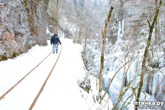 ���� 48: ������ �������� (������������ ����� - ����� ����� �����)