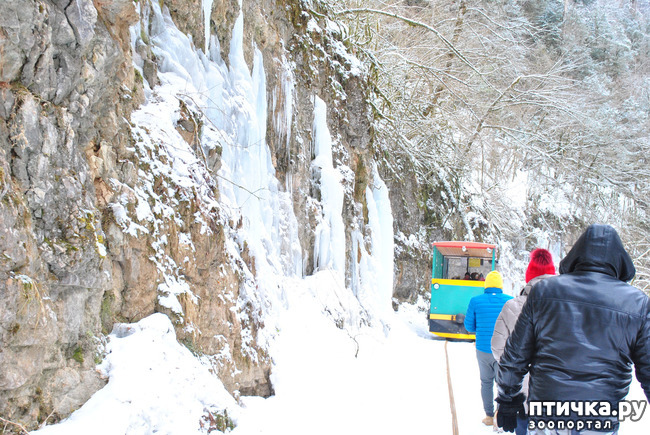 ���� 49: ������ �������� (������������ ����� - ����� ����� �����)