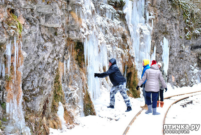 ���� 51: ������ �������� (������������ ����� - ����� ����� �����)