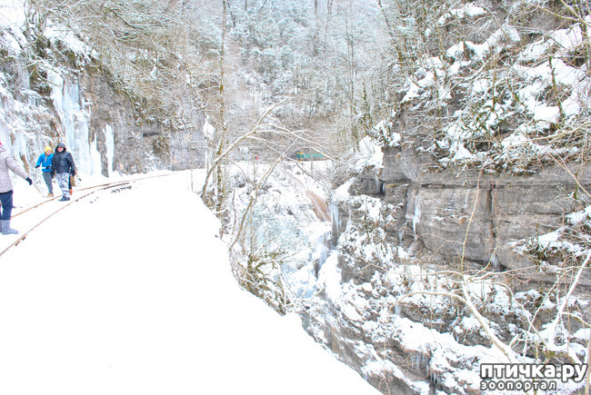 ���� 50: ������ �������� (������������ ����� - ����� ����� �����)