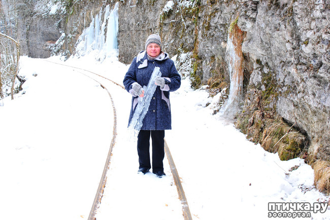 ���� 52: ������ �������� (������������ ����� - ����� ����� �����)