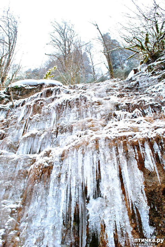 ���� 53: ������ �������� (������������ ����� - ����� ����� �����)