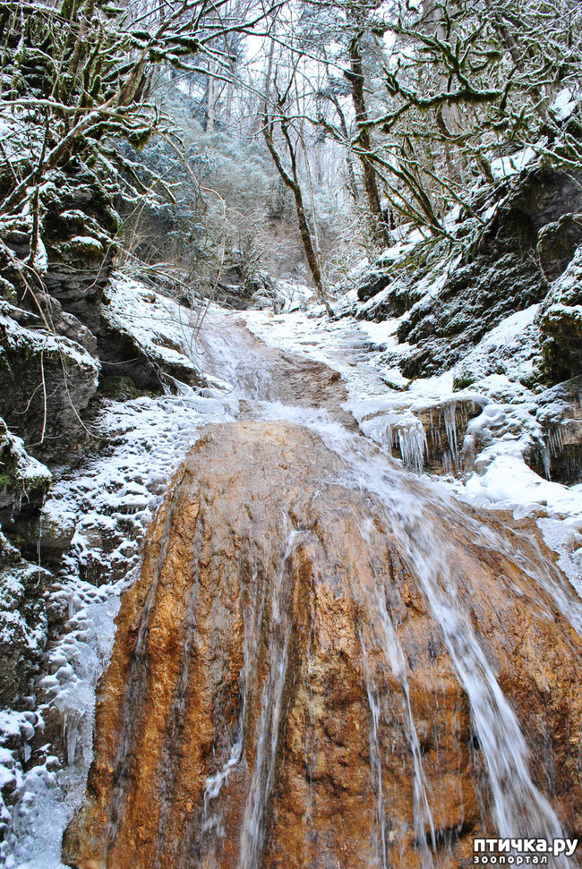 ���� 55: ������ �������� (������������ ����� - ����� ����� �����)