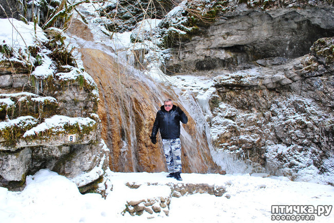 ���� 54: ������ �������� (������������ ����� - ����� ����� �����)