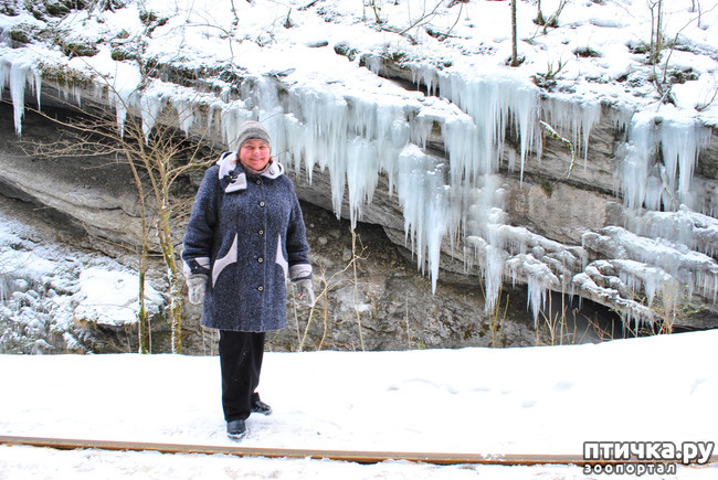 ���� 61: ������ �������� (������������ ����� - ����� ����� �����)