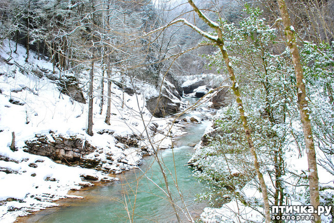 ���� 62: ������ �������� (������������ ����� - ����� ����� �����)