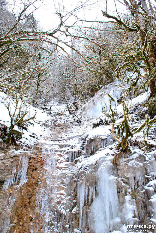 ���� 58: ������ �������� (������������ ����� - ����� ����� �����)