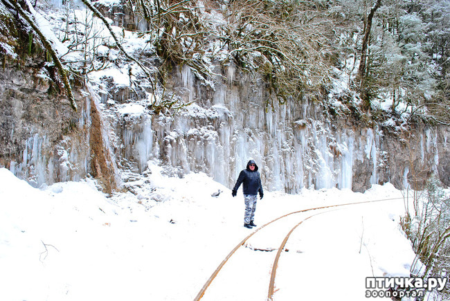 ���� 57: ������ �������� (������������ ����� - ����� ����� �����)