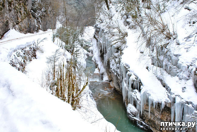 ���� 60: ������ �������� (������������ ����� - ����� ����� �����)