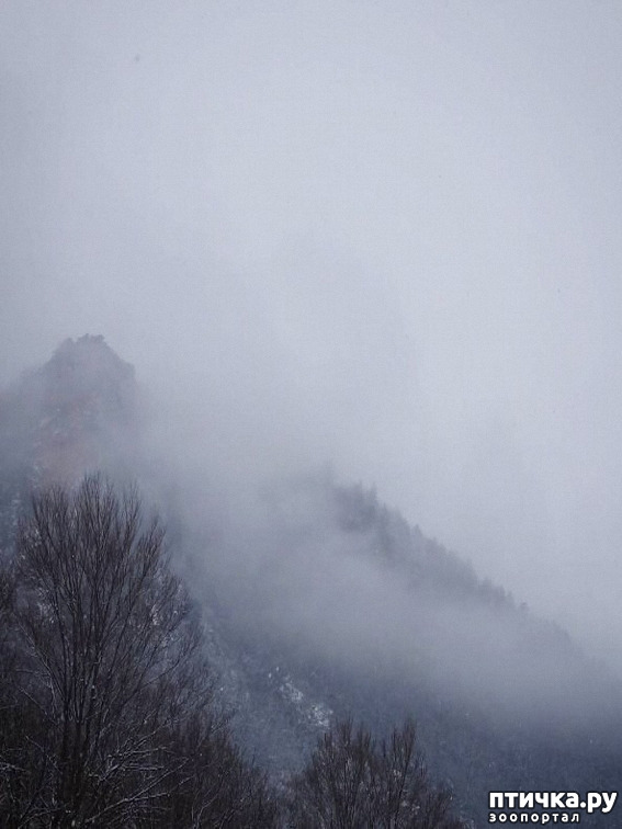 ���� 2: ������ �������� (������������ ����� - ����� ����� �����)