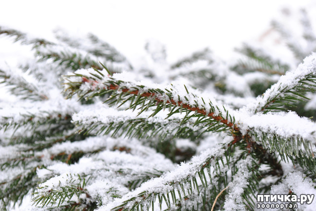 ���� 3: ������ �������� (������������ ����� - ����� ����� �����)