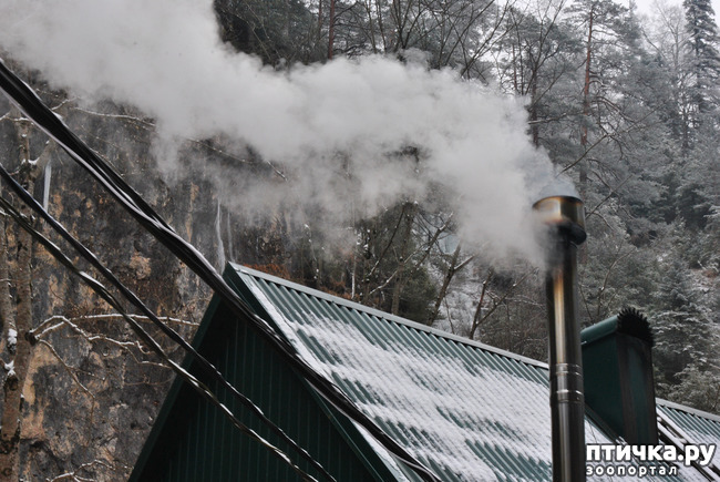 ���� 63: ������ �������� (������������ ����� - ����� ����� �����)