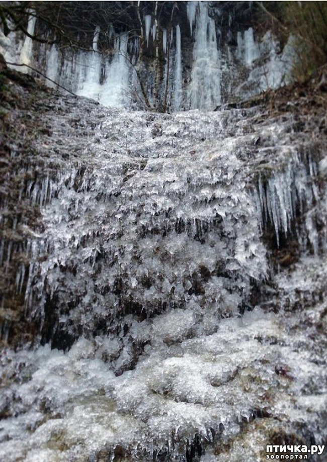 ���� 70: ������ �������� (������������ ����� - ����� ����� �����)