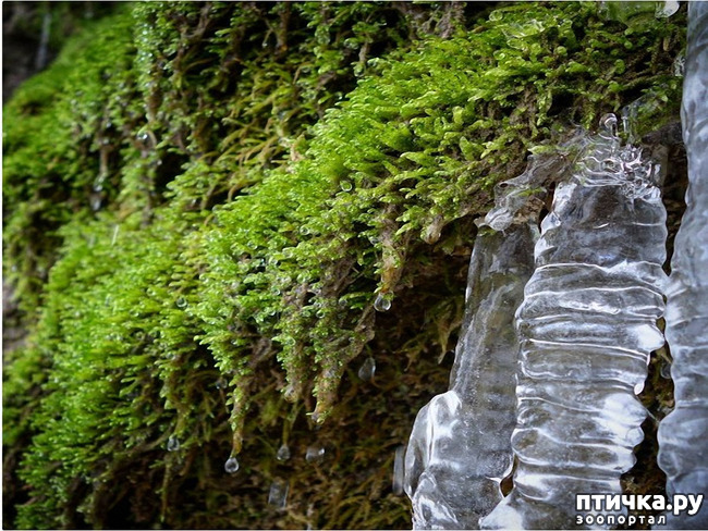 ���� 71: ������ �������� (������������ ����� - ����� ����� �����)