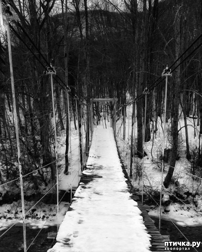 ���� 67: ������ �������� (������������ ����� - ����� ����� �����)