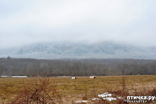 ���� 68: ������ �������� (������������ ����� - ����� ����� �����)