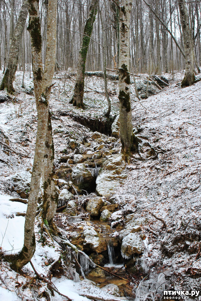 ���� 66: ������ �������� (������������ ����� - ����� ����� �����)